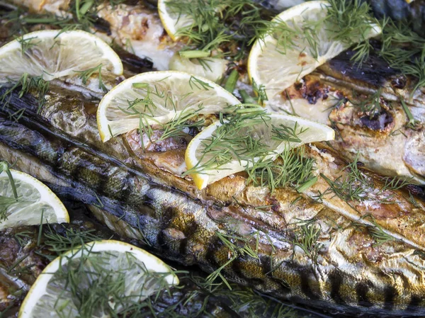 Fırında Balık, uskumru. Limon dilimleri ve taze kokulu yeşillik ile dekore edilmiş.