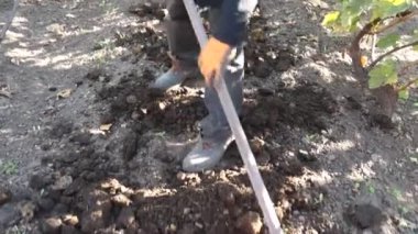 Adam bir el aracı olarak çalışıyor. Humus yere dağıtır.
