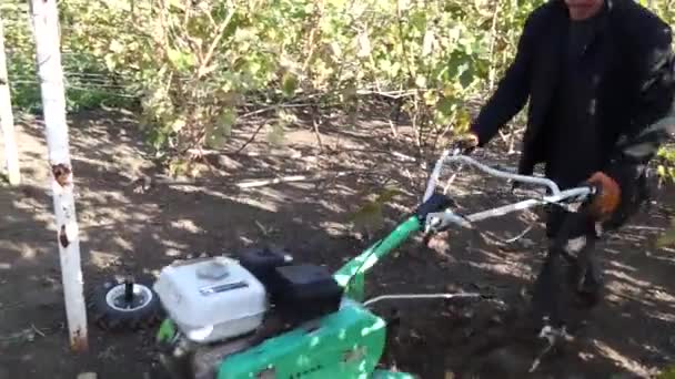 Muž Pracovní Oděvy Kopání Země Mini Kultivátor — Stock video