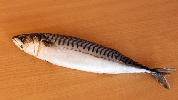 Sea Fish Mackerel Located Cutting Table — Stock Photo, Image