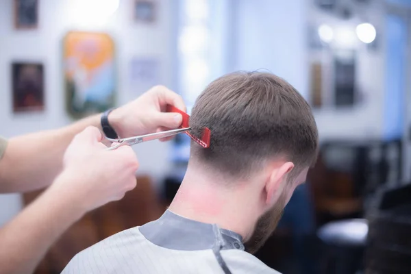 Men's haircut in barbershop. Hair Care. Great plan.