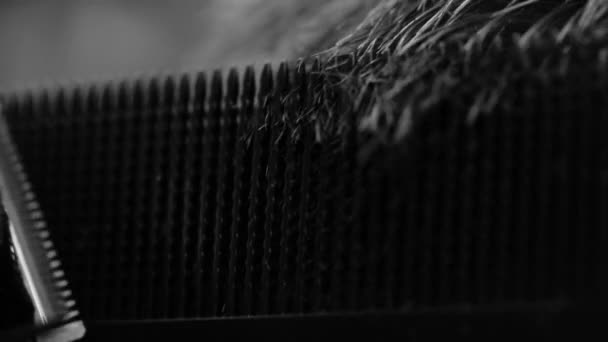 Schwarz-weißes Nahaufnahme-Video einer Herrenfrisur in einem Friseursalon. — Stockvideo