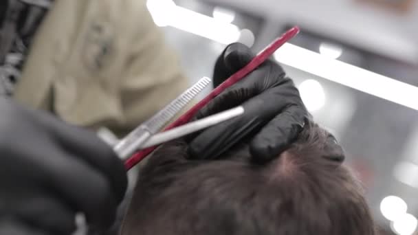 Corte de pelo con tijeras en un salón de belleza. Adelgazamiento y cuidado del cabello . — Vídeos de Stock