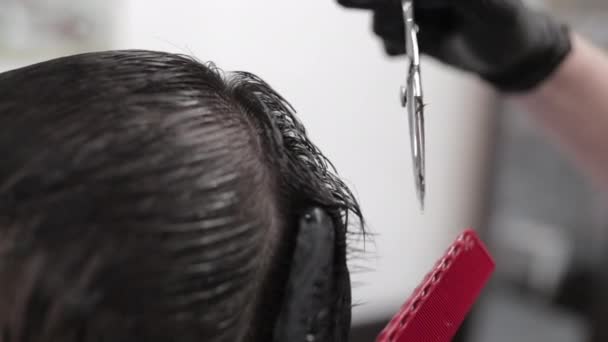 Haircut with scissors in a beauty salon. Thinning and hair care. — Stock Video