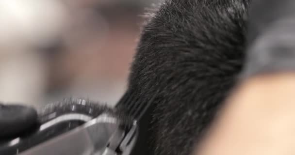 Kurzhaarschnitt und Haarstyling. — Stockvideo