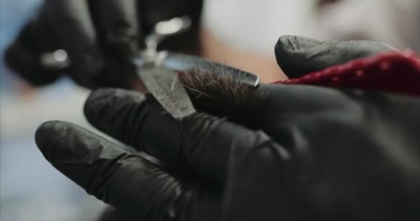 Corte de pelo con tijeras en un salón de belleza. Primer plano . — Vídeo de stock