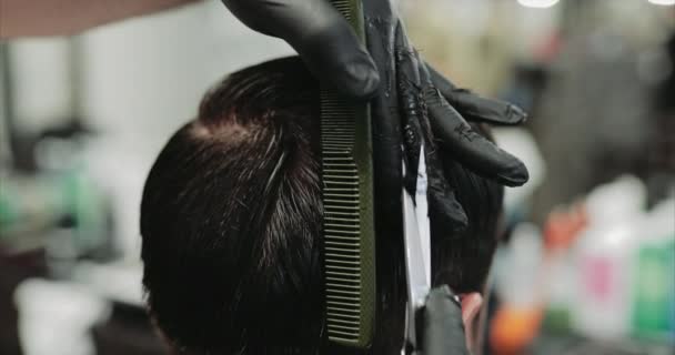 Cuidado del cabello. Corte de pelo y peinado en un salón de belleza . — Vídeos de Stock