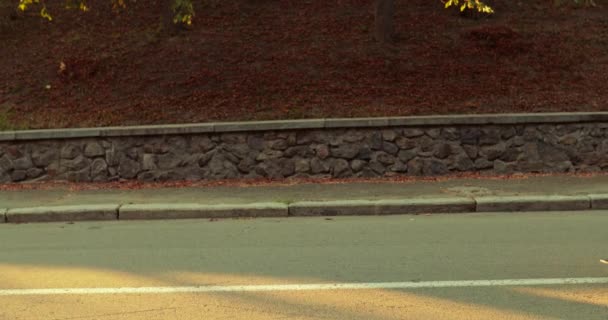 Hij doet een truc op een skateboard. Langzame beweging. — Stockvideo