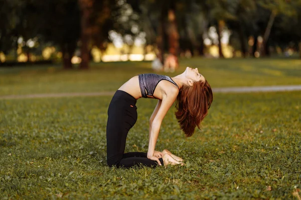 Фитнес и йога в природе. Девушка разогревается и медитирует в парке.. — стоковое фото