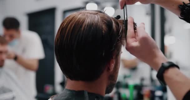 Potongan rambut dengan gunting, close-up. Mendapatkan layanan dari penata rambut, penata gaya. — Stok Video