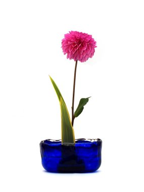 Beyaz zemin üzerine Japon ikebana.