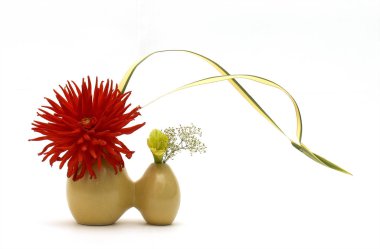 Beyaz zemin üzerine Japon ikebana.