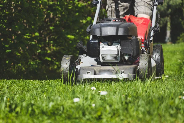 Rasenmähen Mit Dem Rasenmäher Garten Frühjahr Rasenmähen Sonnigen Tagen — Stockfoto