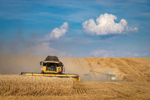 Maquinaria Agrícola Cosechando Campo Trigo Combine Cosechadora Trabajando Durante Temporada — Foto de Stock