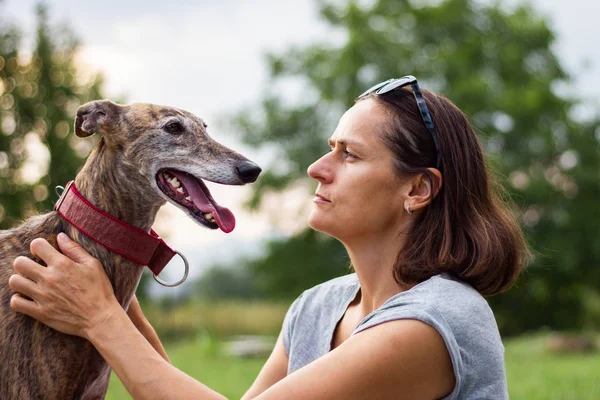 Köpek insanların en iyi arkadaşı. İspanyol tazısı. Kadın evcil hayvanını seviyorum.