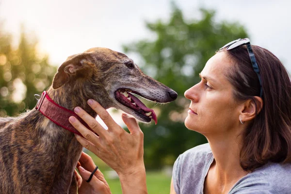 Woman love her pet. Dog the best friend of people. Spanish greyhound