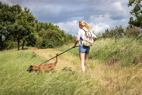 Hiking woman walking with her dog in nature at summer. Tourist with backpack enjoying walk with her animal best friend
