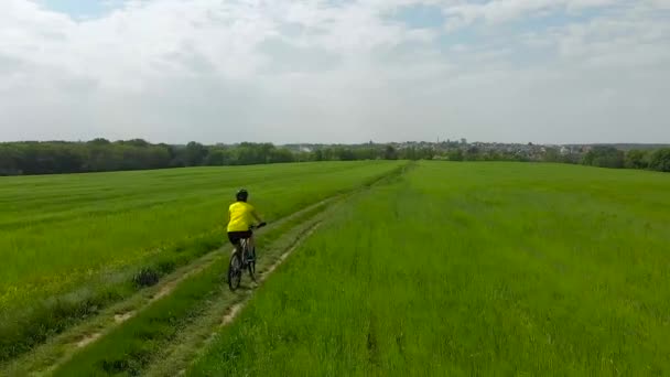 Жінка їде на велосипеді по стежці на ячмінному полі — стокове відео