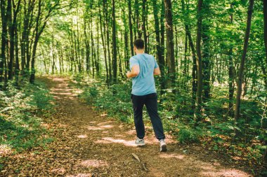 Ormanda çalışan yetişkin genç adam. kopya alanı