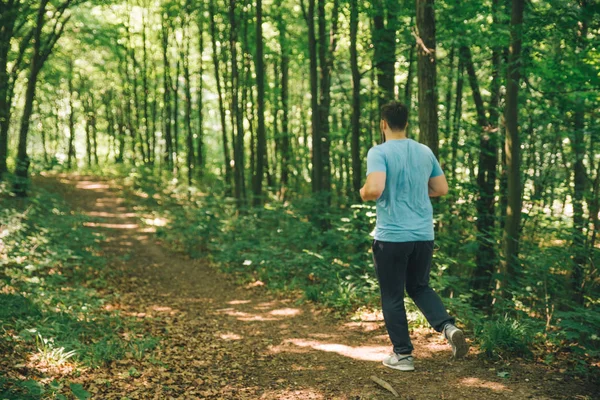 Ormanda çalışan yetişkin genç adam. kopya alanı