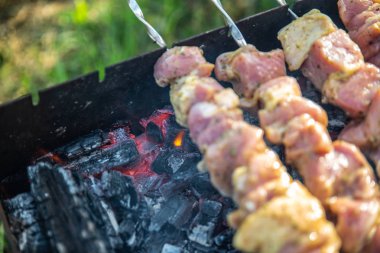 ateş et. b-b-q kapatın. yumuşak odak