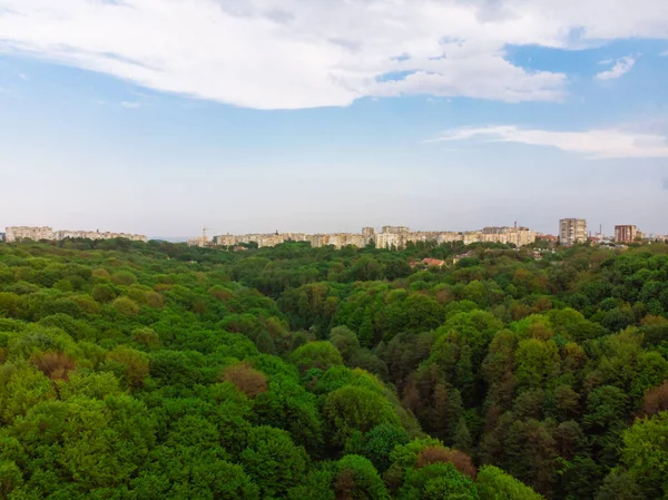 Şehir Parkı içinde ağaçlar kocakarılar. satır City devam. havadan görünümü
