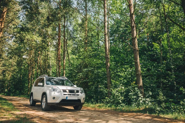 Λευκό Suv Στο Δάσος Έννοια Αυτοκίνητο Ταξιδιού Τρόπος Ζωής — Φωτογραφία Αρχείου