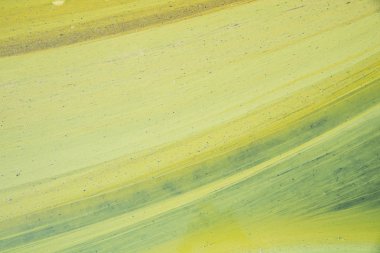 yeşil çiçekli su doku yakın çekim