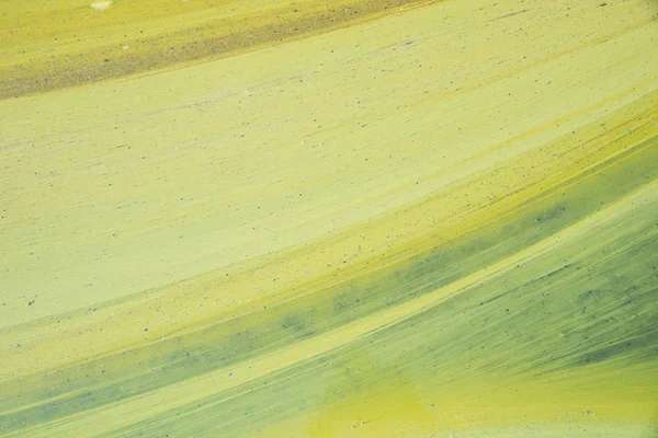 yeşil çiçekli su doku yakın çekim