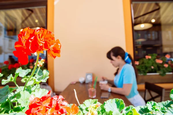 Mujer Bebiendo Bebidas Frías Cafetería Concéntrate Flor Delante Fondo Borroso — Foto de Stock