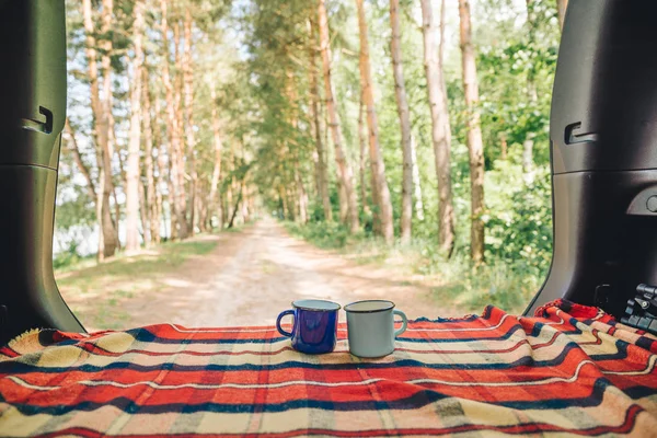 담요에 컵입니다 배경에 숲입니다 — 스톡 사진