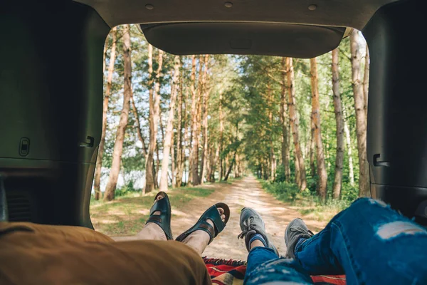 iki orman üzerinde seyir suv gövde döşeme. Birinci şahıs bakış açısı