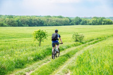 adam yeşil arpa alanındaki iz sürme bisikletle. kopya alanı