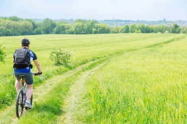 adam yeşil arpa alanındaki iz sürme bisikletle. kopya alanı