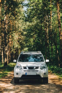 Beyaz cipin içinde orman. araba seyahat kavramı. yaşam tarzı