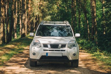 Beyaz cipin içinde orman. araba seyahat kavramı. yaşam tarzı