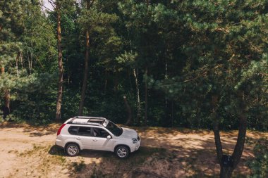 Beyaz cipin içinde orman. havadan görünümü. araba seyahat kavramı
