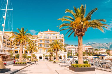 denizde yatlar için dock ile Plaj tesisi. avuç içi güneşli bir gün