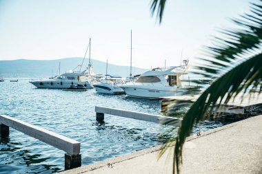 tivat defne yatlar. avuç içi açık üzerinde bırakır. Yaz saati