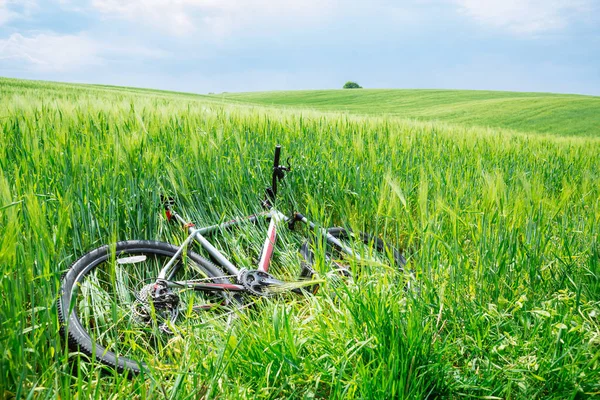 Bicycle Lay Green Barley Field Nobody — Stock Photo, Image