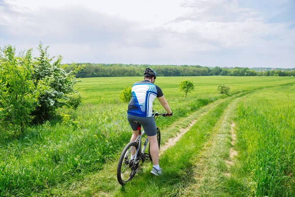 Man Riding Bicycle Trail Green Barley Field Copy Space — Stock Photo, Image