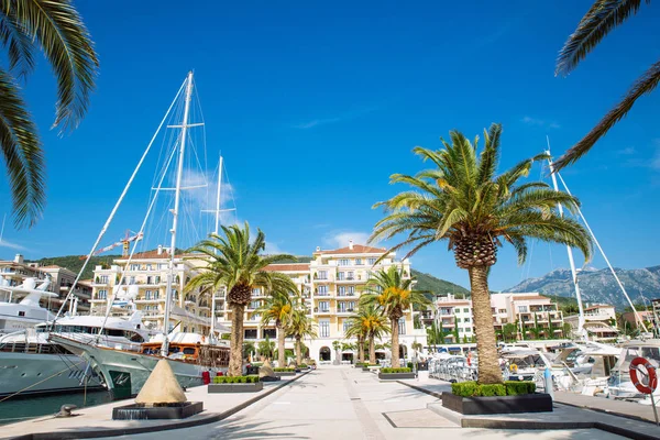 Resort Sea Beach Dock Yachts Palms Sunny Day — Stock Photo, Image