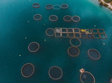 Balık Çiftliği deniz suyu içinde hava görünümünü. Yaz saati