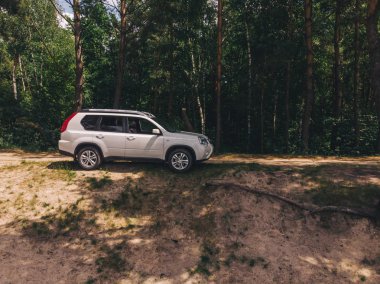 Beyaz cipin içinde orman. havadan görünümü. araba seyahat kavramı