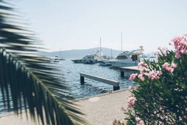 tivat defne yatlar. avuç içi açık üzerinde bırakır. Yaz saati