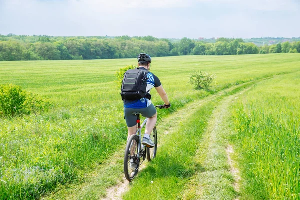 Homem Andando Bicicleta Por Trilha Campo Cevada Verde Espaço Cópia — Fotografia de Stock