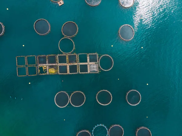 Vista Aérea Piscifactoría Agua Mar Hora Verano Alimentos Mar — Foto de Stock