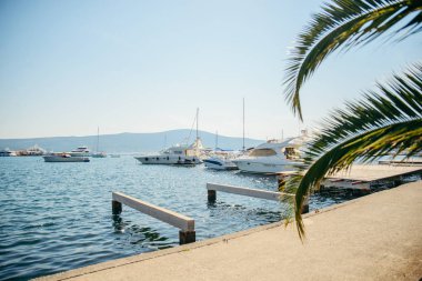 tivat defne yatlar. avuç içi açık üzerinde bırakır. Yaz saati