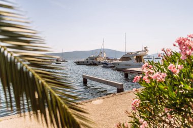 tivat defne yatlar. avuç içi açık üzerinde bırakır. Yaz saati