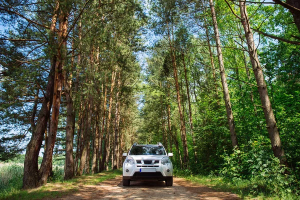森で白い Suv 車旅行の概念 ライフ スタイル — ストック写真